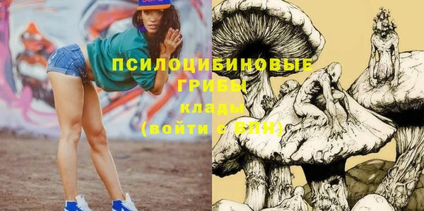 герыч Арсеньев