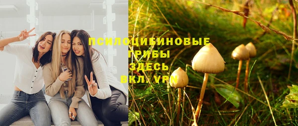марки lsd Богородицк
